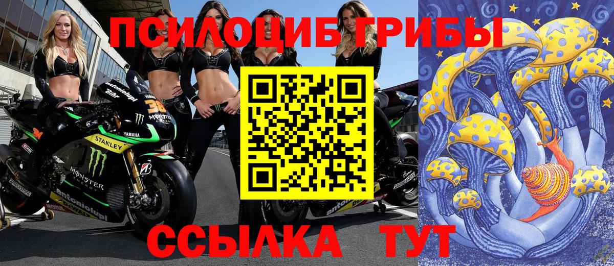 Галлюциногенные грибы прущие грибы Юрга